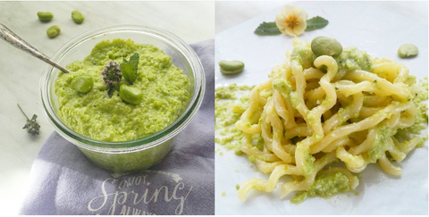 Pesto di fave