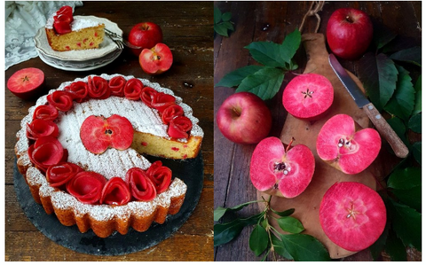 Torta di mele classica con mele red